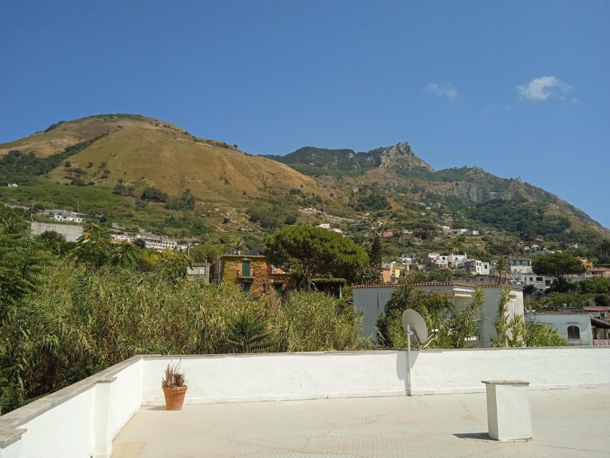 Villa Thomas Bb Conduzione Familiare Forio di Ischia 외부 사진
