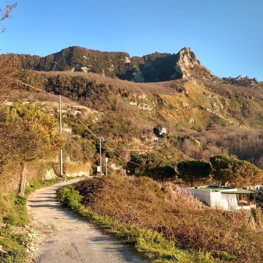 Villa Thomas Bb Conduzione Familiare Forio di Ischia 외부 사진