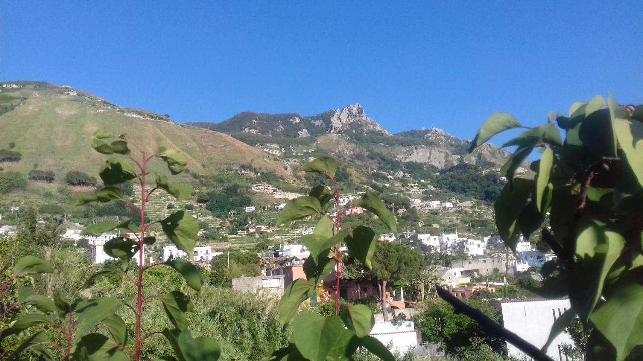 Villa Thomas Bb Conduzione Familiare Forio di Ischia 외부 사진