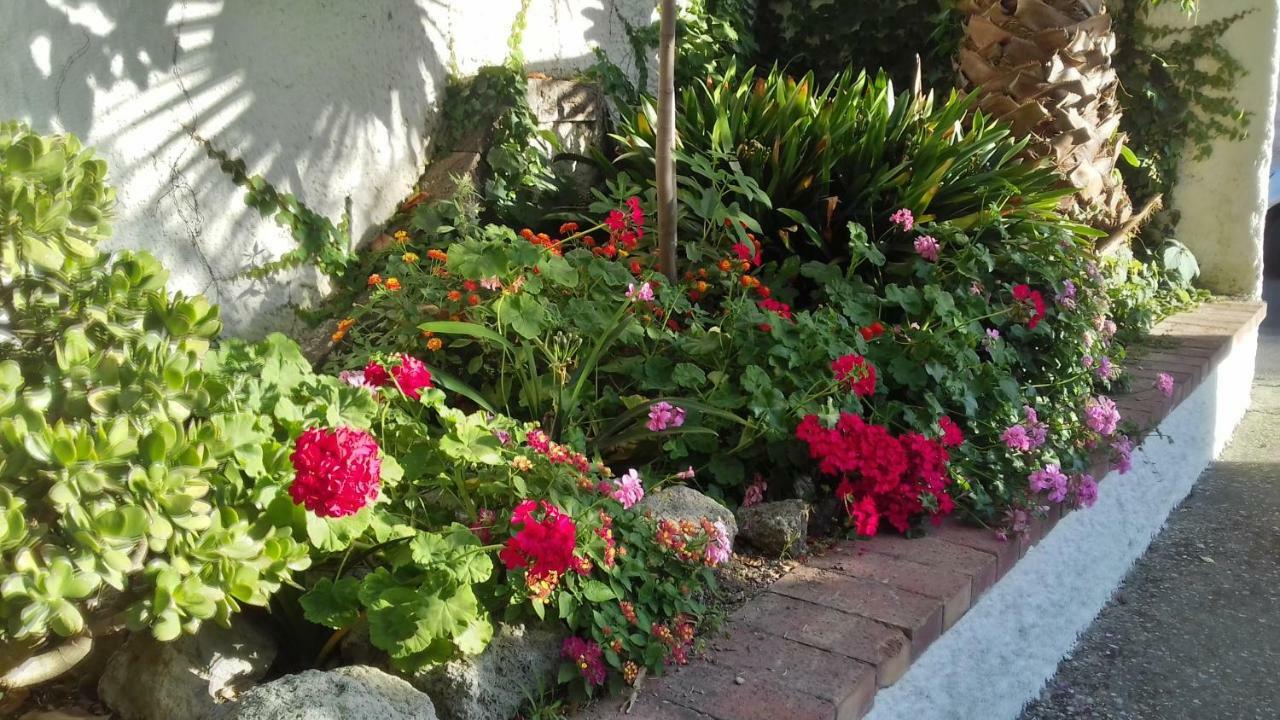 Villa Thomas Bb Conduzione Familiare Forio di Ischia 외부 사진